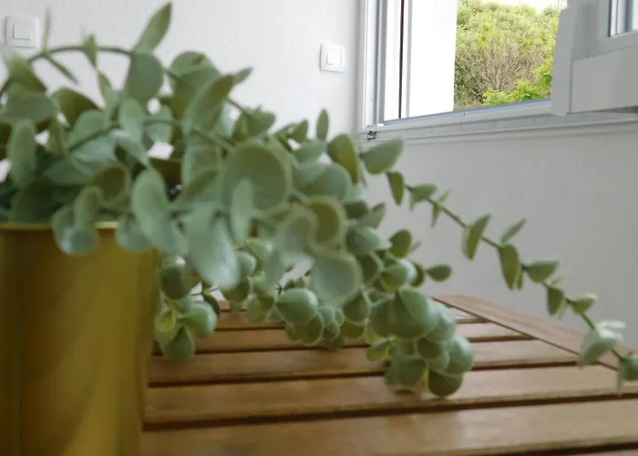 Lux Lariva, Center Of * Split