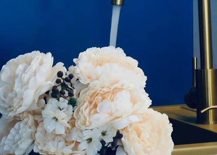 Lux Lariva, Center Of Lägenhet Split